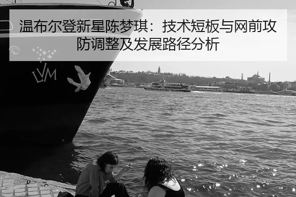 wen-bu-er-deng-xin-xing-chen-meng-qi-ji-shu-duan-ban-yu-wang-qian-gong-fang-tiao-zheng-ji-fa-zhan-lu-jing-fen-xi-2-247.jpg