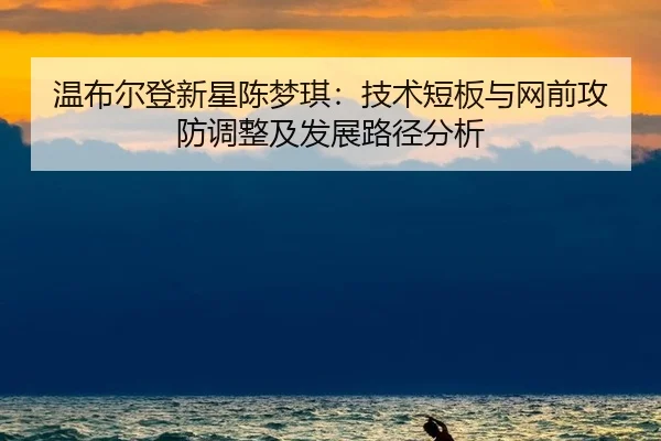 温布尔登新星陈梦琪：技术短板与网前攻防调整及发展路径分析